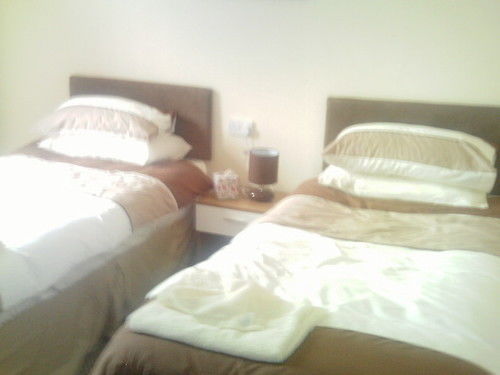 Arlingtons Guest house 3*
