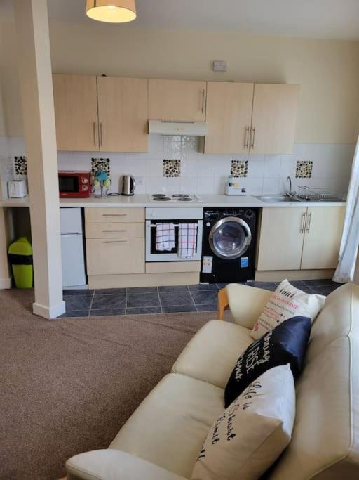 Cozy One-bedroom Studio Flat !