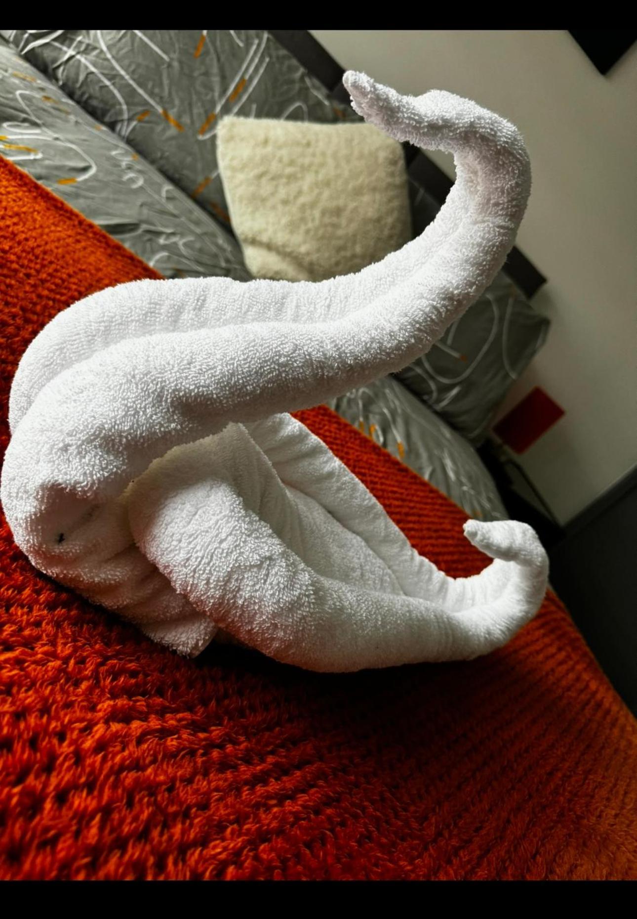 Melville House - Pet Friendly *