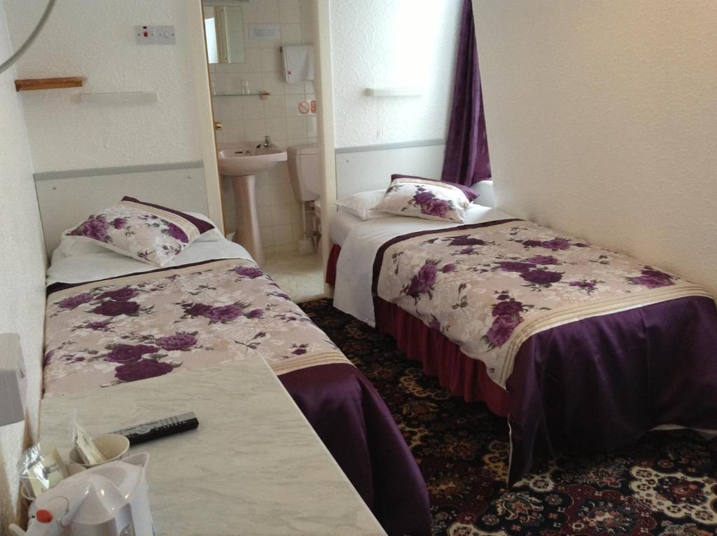 Hotel Delton 3*