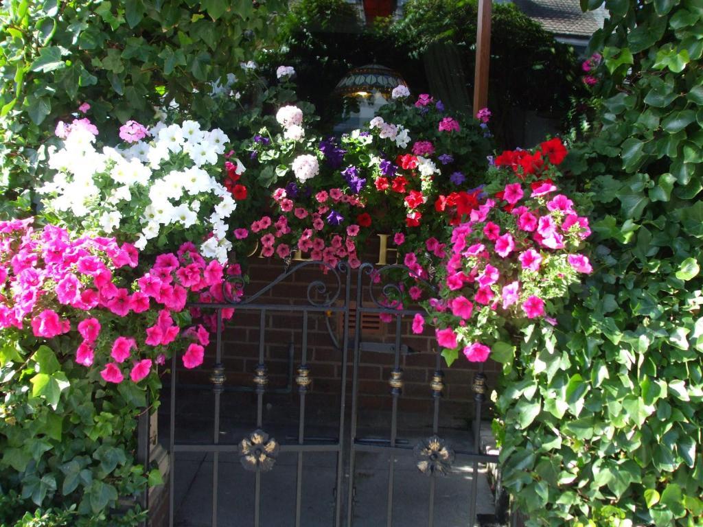 Guest house The Lonsdale