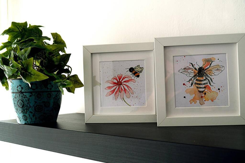Apartment Bee Bungalow In