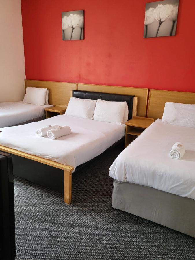 Tulip Hotel 3*