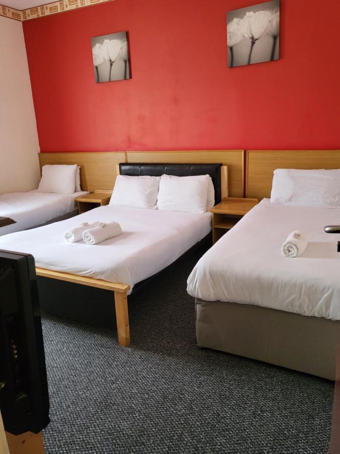 Hotel Tulip 3*