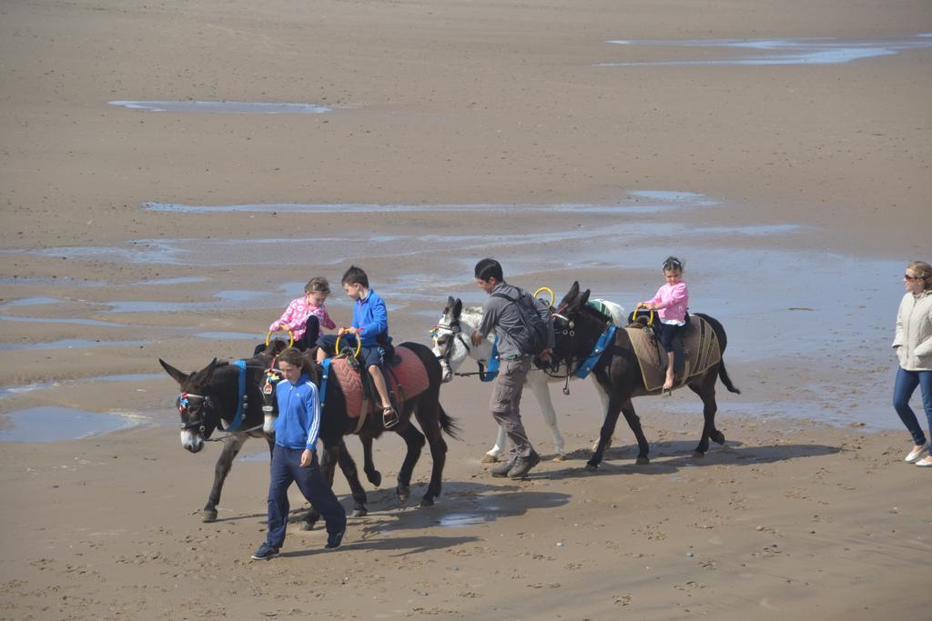 Bed & Breakfast Camelot Seafront