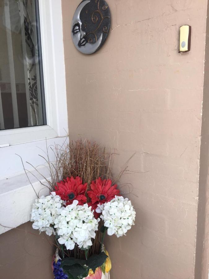 White Moon Bed & Breakfast