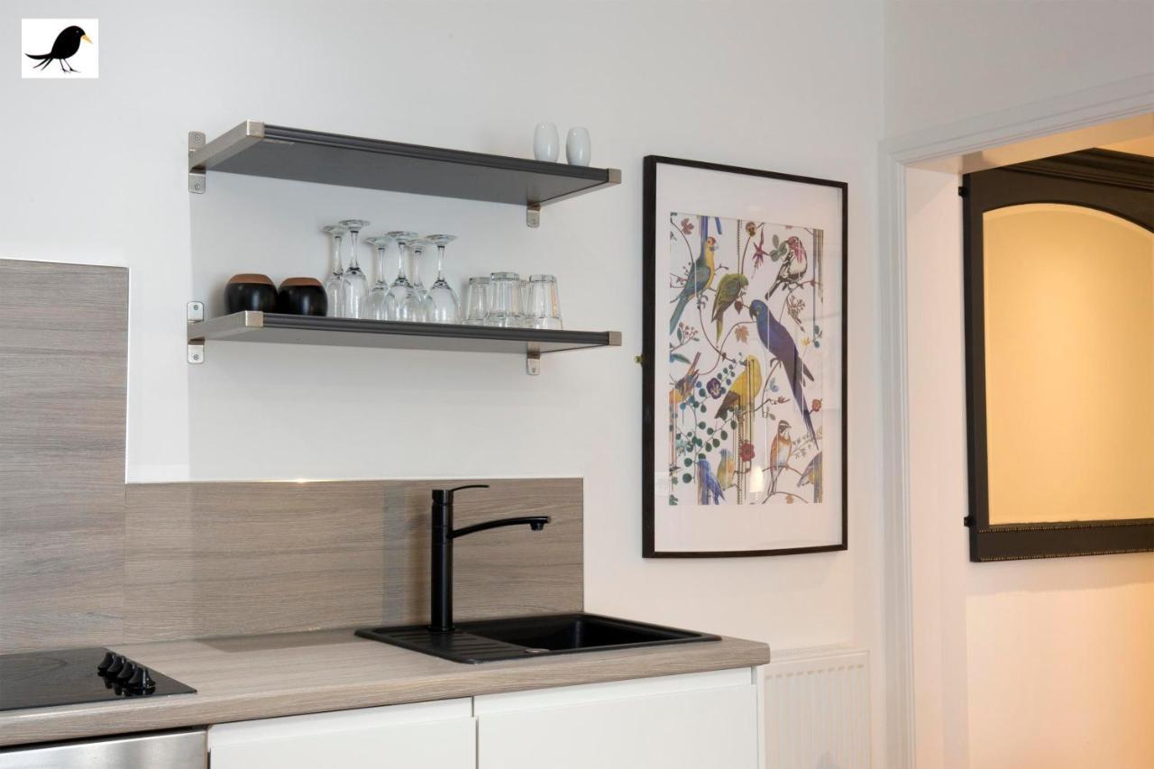 Apartment Blackbird And Luxury 12 *