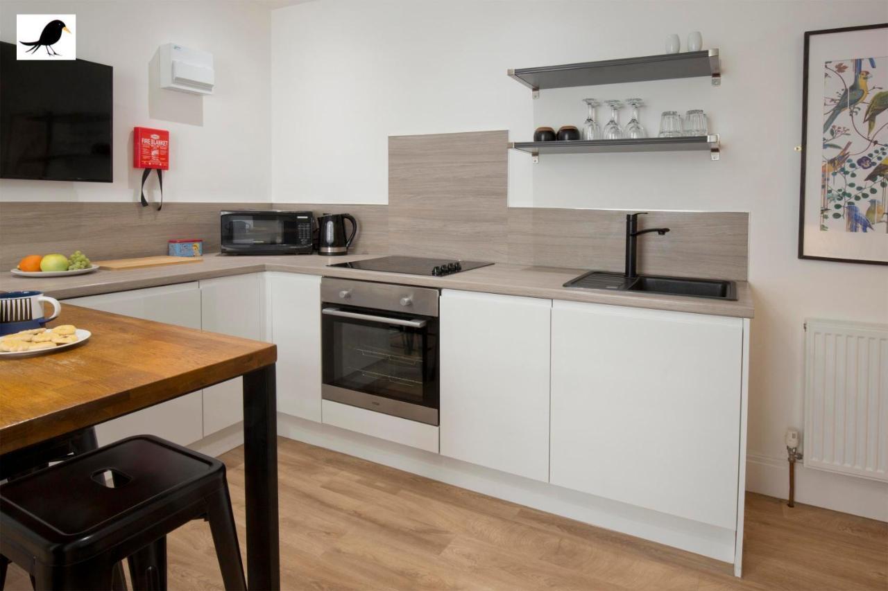 Apartment Blackbird And Luxury 12 Blackpool