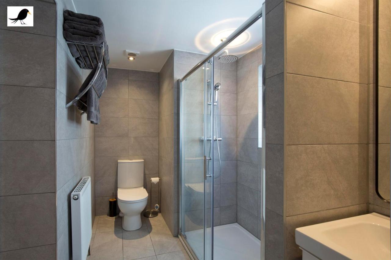 Apartment Blackbird And Luxury 12 Blackpool