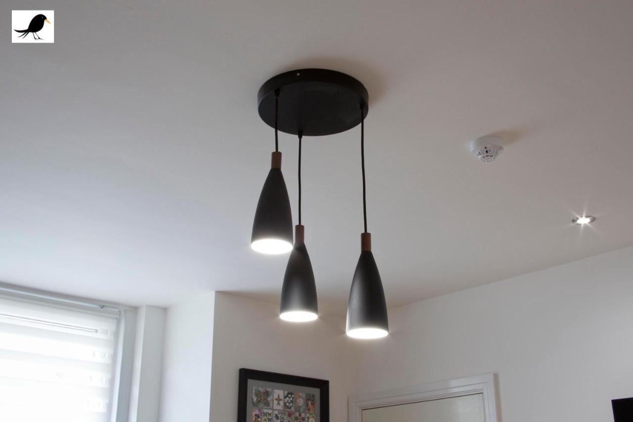 Apartment Blackbird And Luxury 12 *